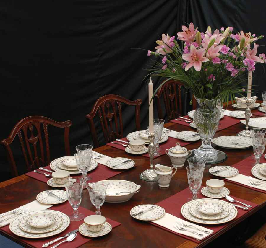 Wilton 55 Piece Estate Set by Haviland-1