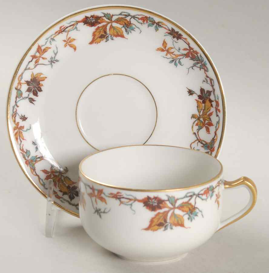 Woodbine Flat Cup & Saucer Set by Haviland-1