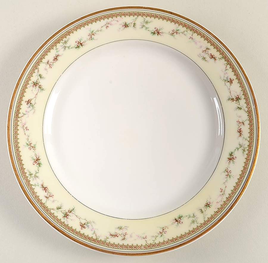 Yale Luncheon Plate by Haviland-1
