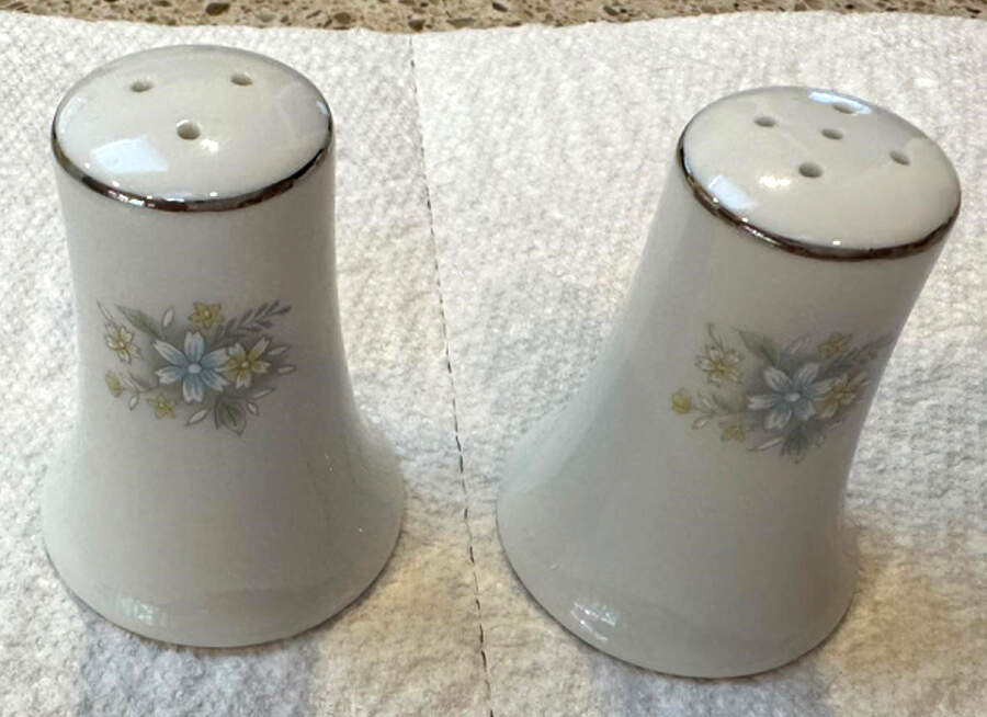 Summer Time Salt & Pepper Set by Hara-1