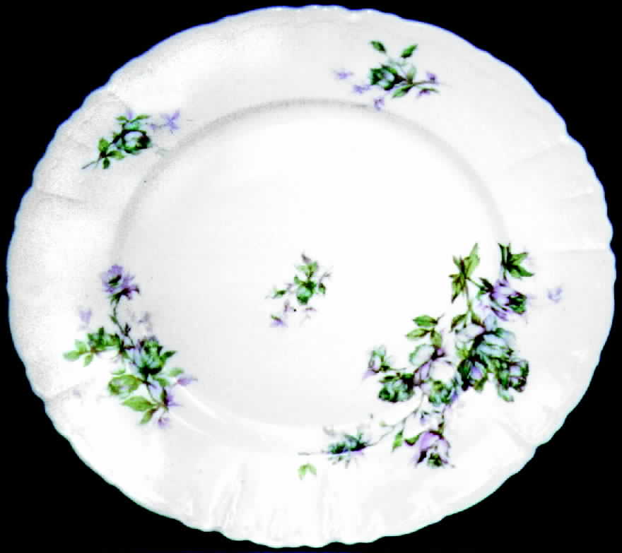 HAB20 Dinner Plate by Habsburg-1