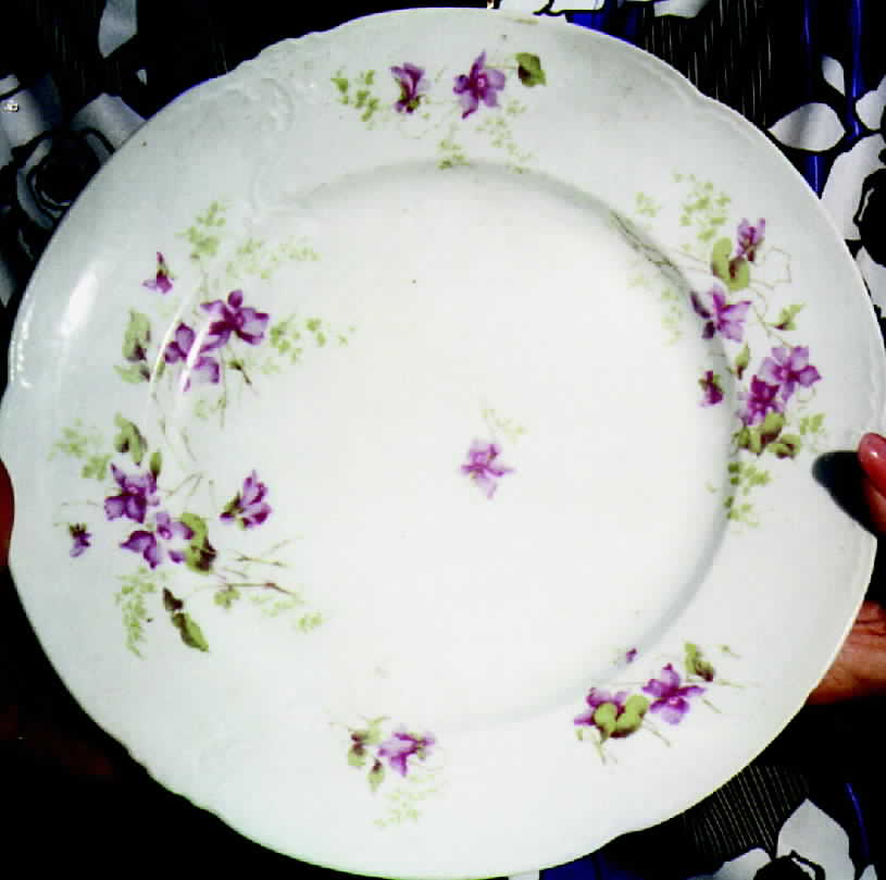 HAB8 Dinner Plate by Habsburg-1