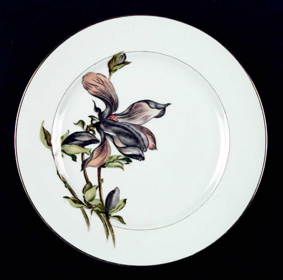 Alyce (Black Flower) Dinner Plate by Harmony House China-1