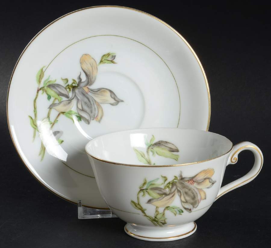 Alyce (Black Flower) Footed Cup & Saucer Set by Harmony House China-1