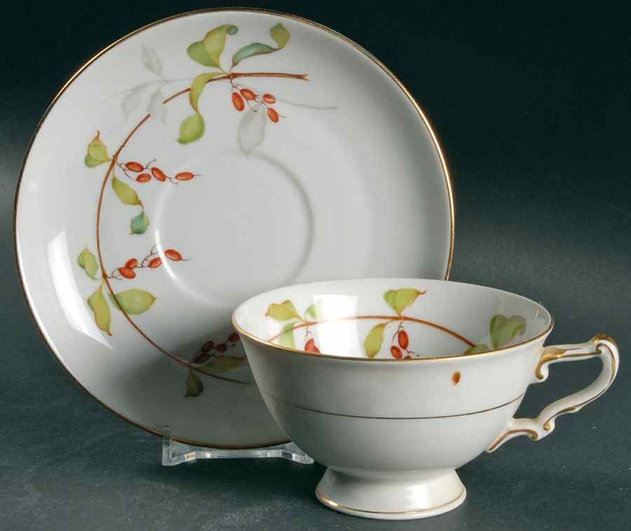Bittersweet Footed Cup & Saucer Set by Harmony House China-1