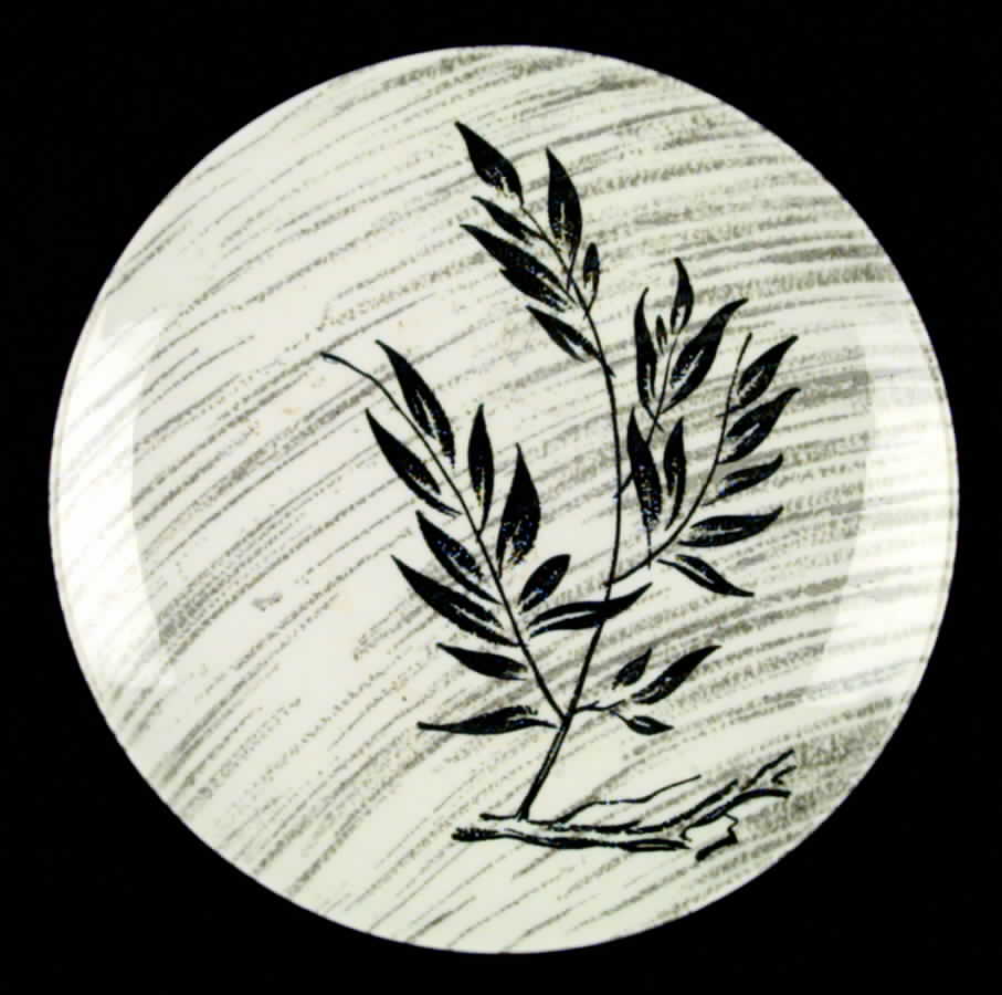 HAH1 Dinner Plate by Harmony House China-1