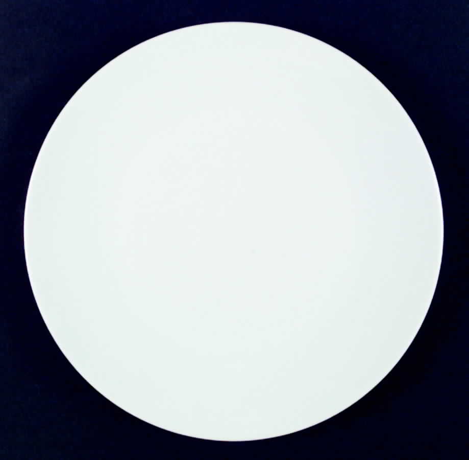 Moonglow White Dinner Plate by Harmony House China-1