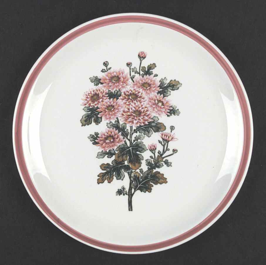 Pink Asters Dinner Plate by Harmony House China-1