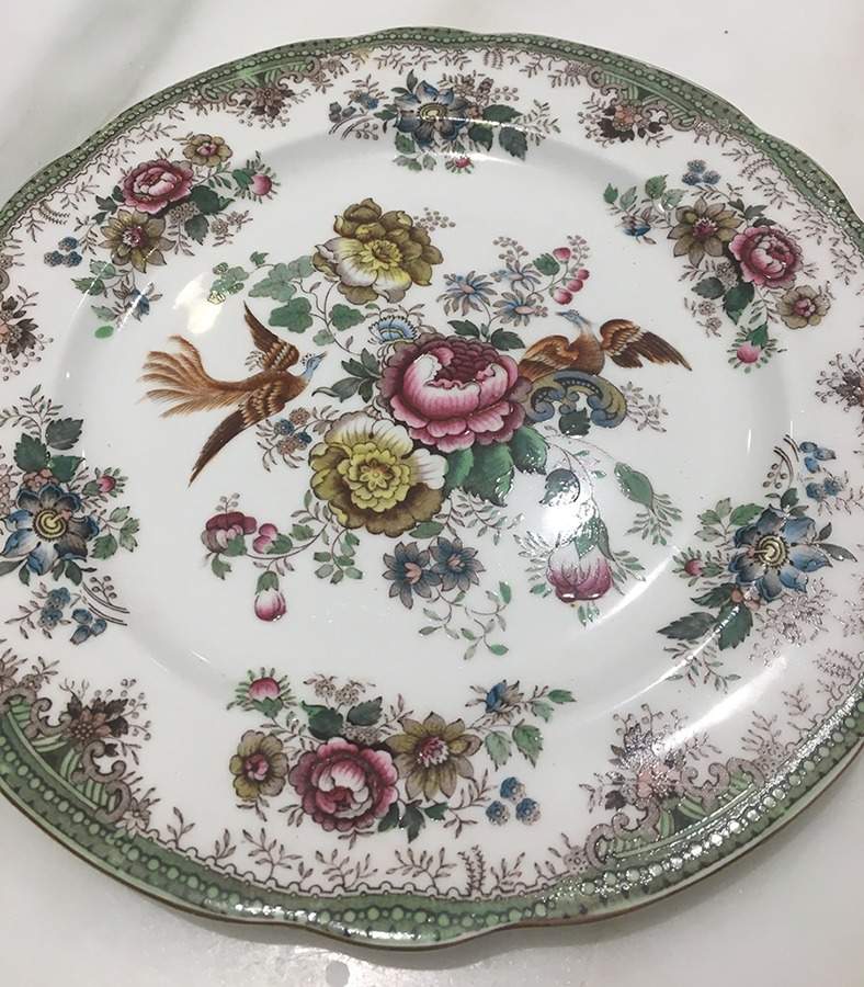 Asiatic Pheasants Dinner Plate by Hammersley-1