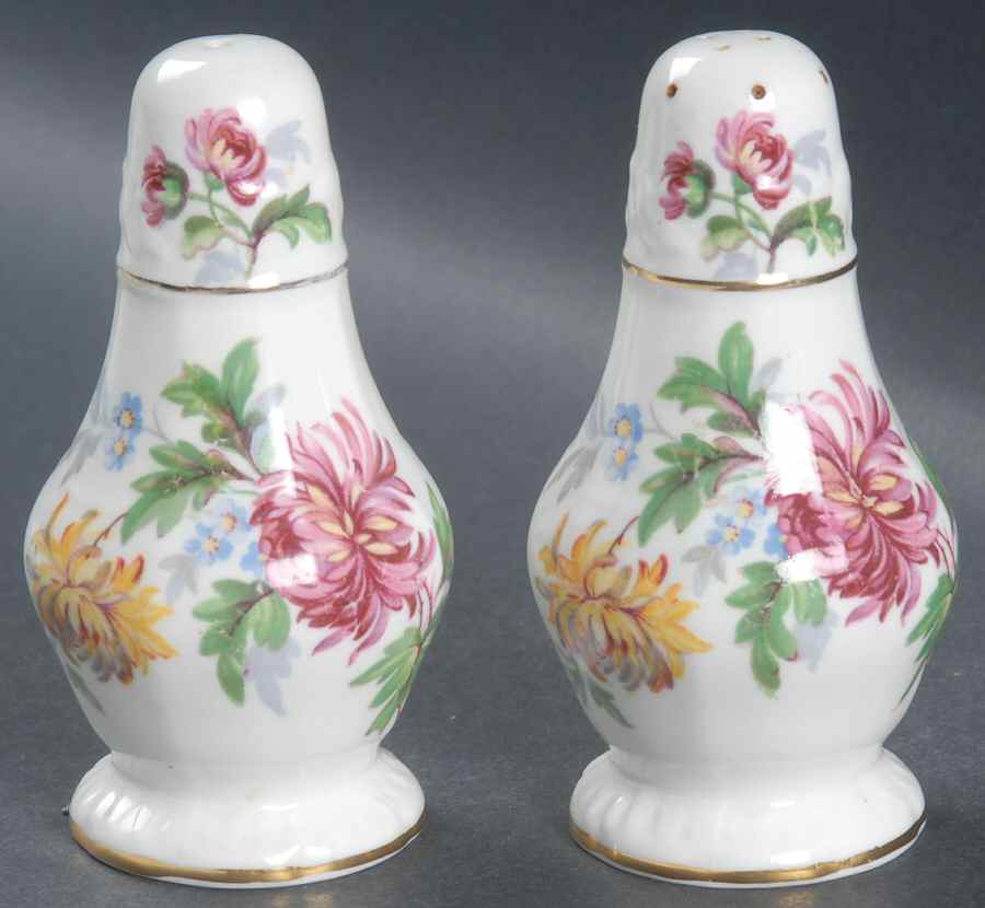 Autumn Glory Salt & Pepper Set by Hammersley-1