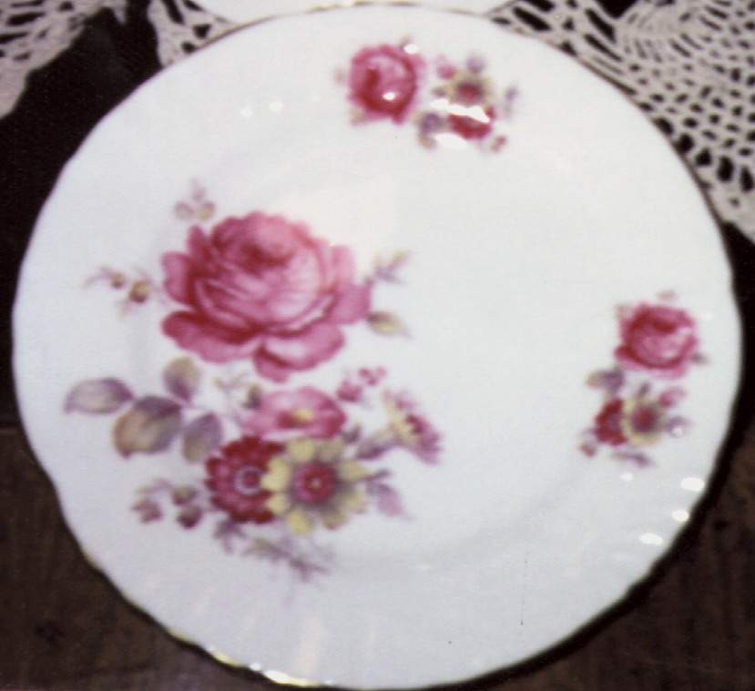 HAM20 Dinner Plate by Hammersley-1