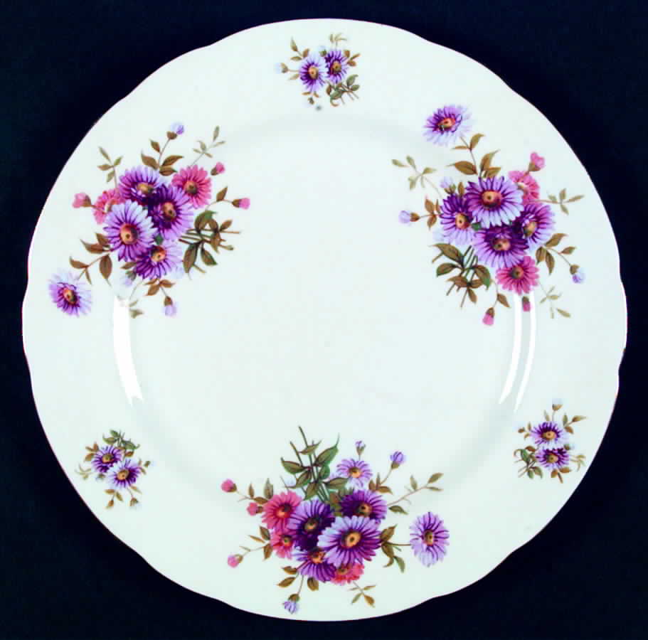 HAM23 Dinner Plate by Hammersley-1