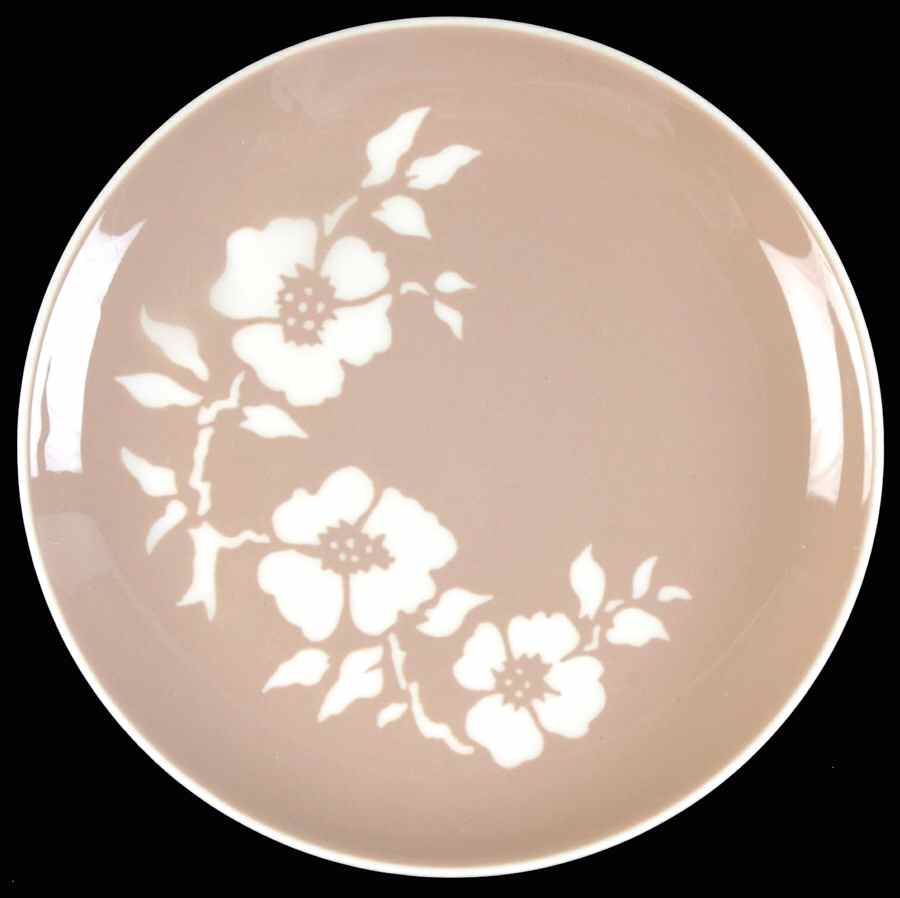 Dogwood Tan Salad Plate by Harker-1