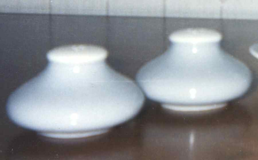 Springtime (Gray Rim) Salt & Pepper Set by Harker-1