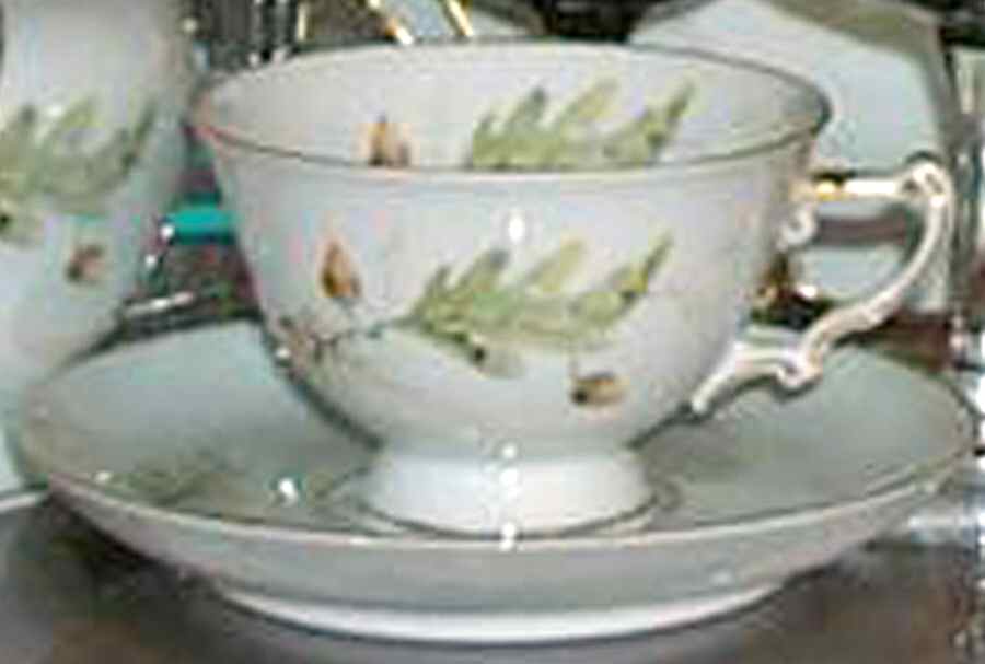 17348 (Cream) Footed Cup & Saucer Set by Heinrich - H&C-1