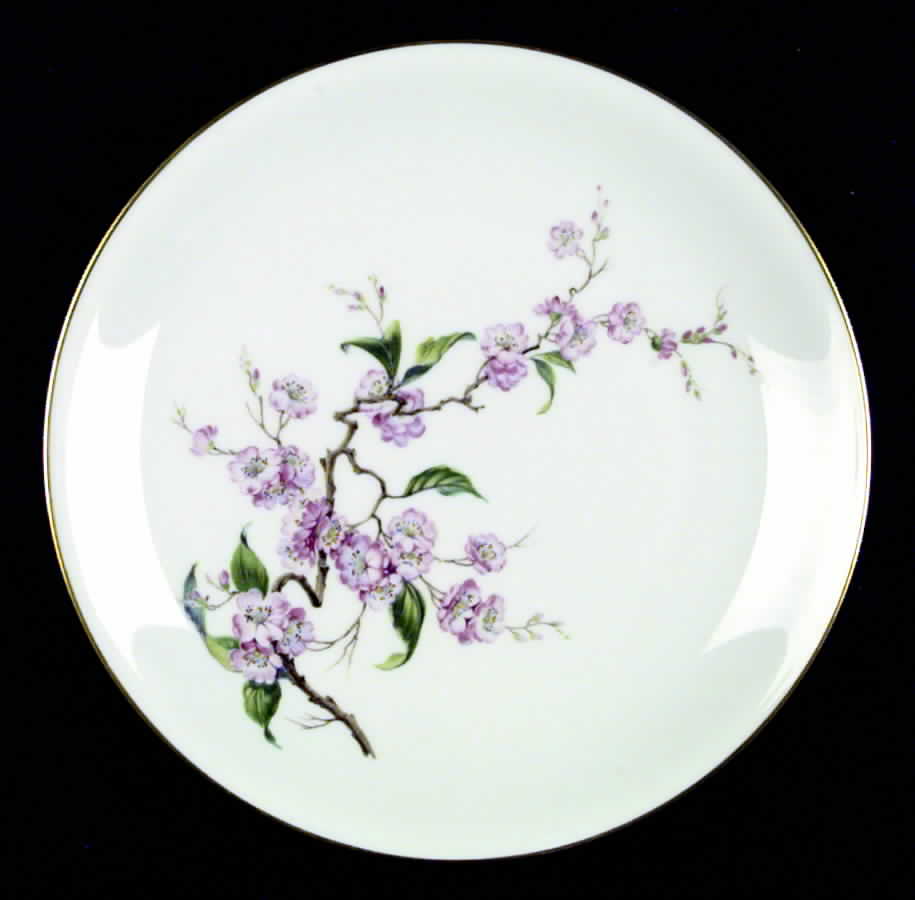 Blossomtime White Dinner Plate by Heinrich - H&C-1