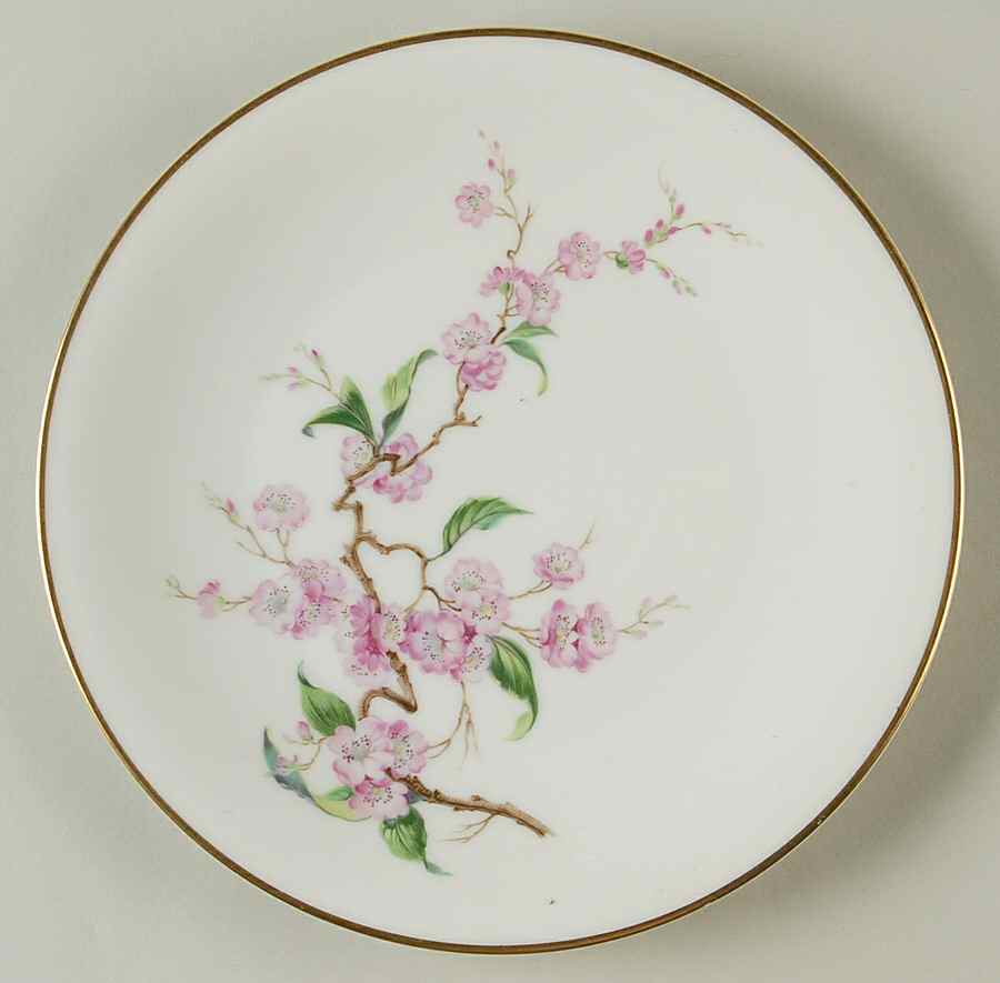 Blossomtime White Salad Plate by Heinrich - H&C-1