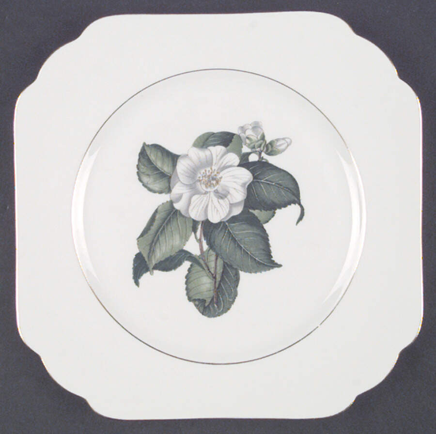 Camellia Square Salad Plate by Heinrich - H&C-1