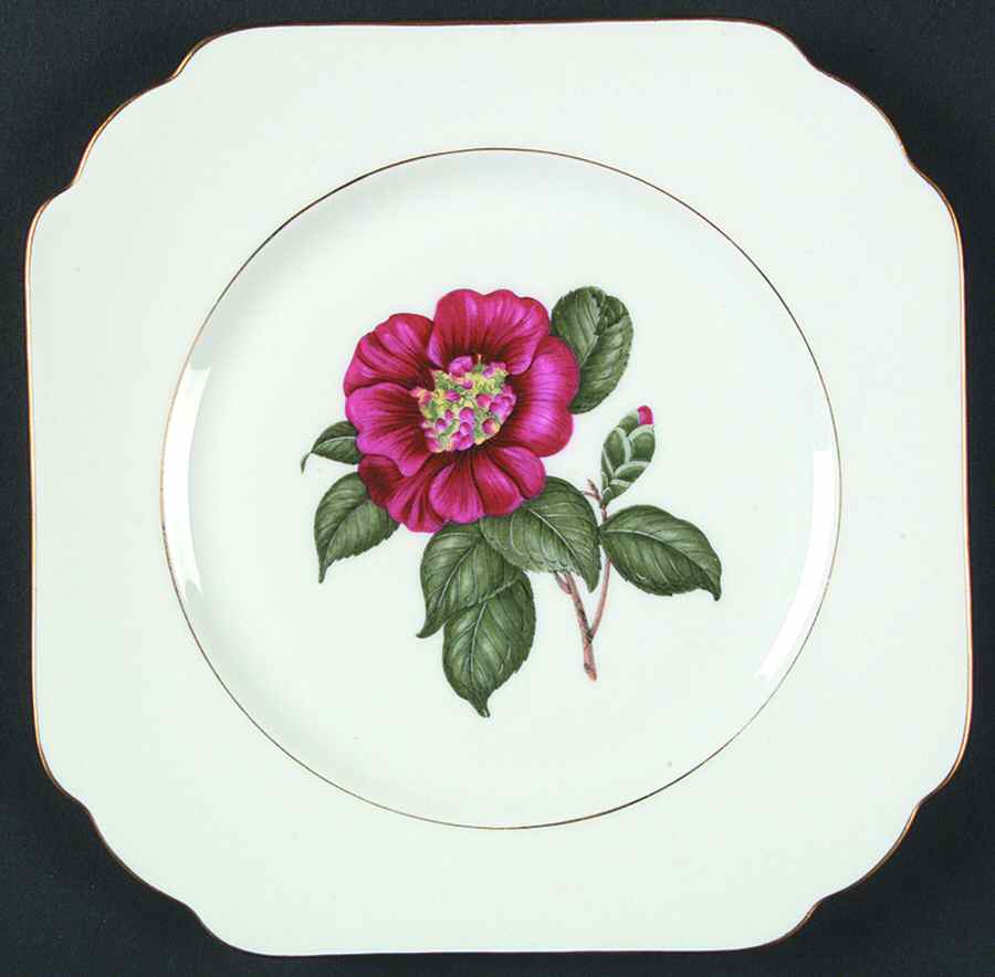 Camellia Square Salad Plate by Heinrich - H&C-1