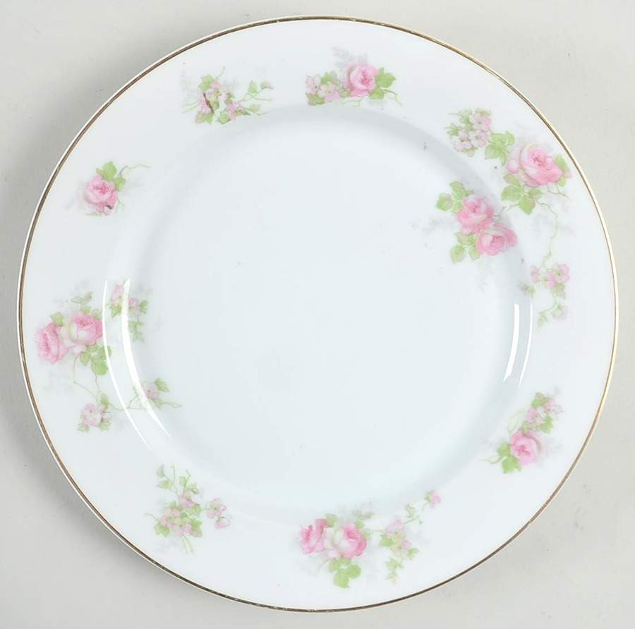 Coburg Luncheon Plate by Heinrich - H&C-1