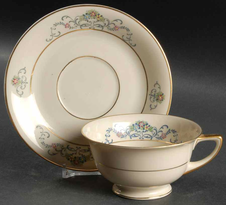 Ferndale (Older, Gold Trim) Footed Cup & Saucer Set by Heinrich - H&C-1