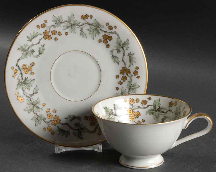 Golden Fantasy Footed Cup & Saucer Set by Heinrich - H&C-1
