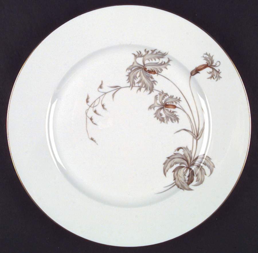 HC10 Dinner Plate by Heinrich - H&C-1