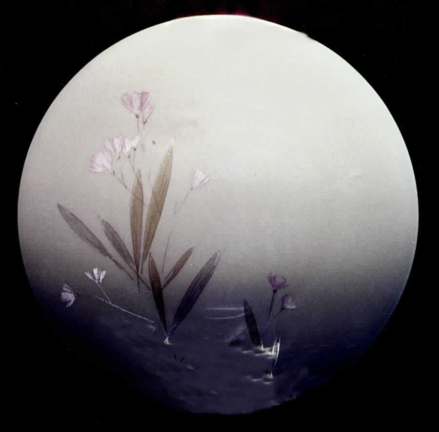 HC105 Dinner Plate by Heinrich - H&C-1