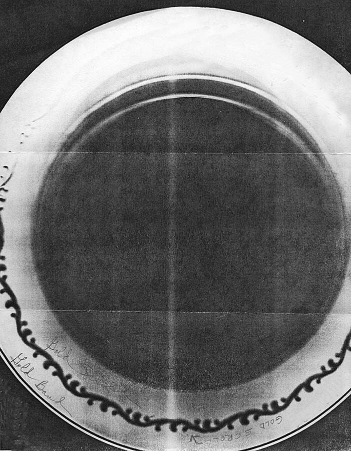 HC125 Dinner Plate by Heinrich - H&C-1