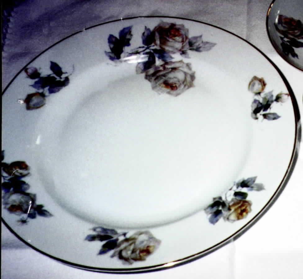 HC187 Dinner Plate by Heinrich - H&C-1
