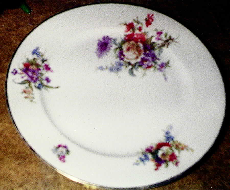 HC189 Dinner Plate by Heinrich - H&C-1