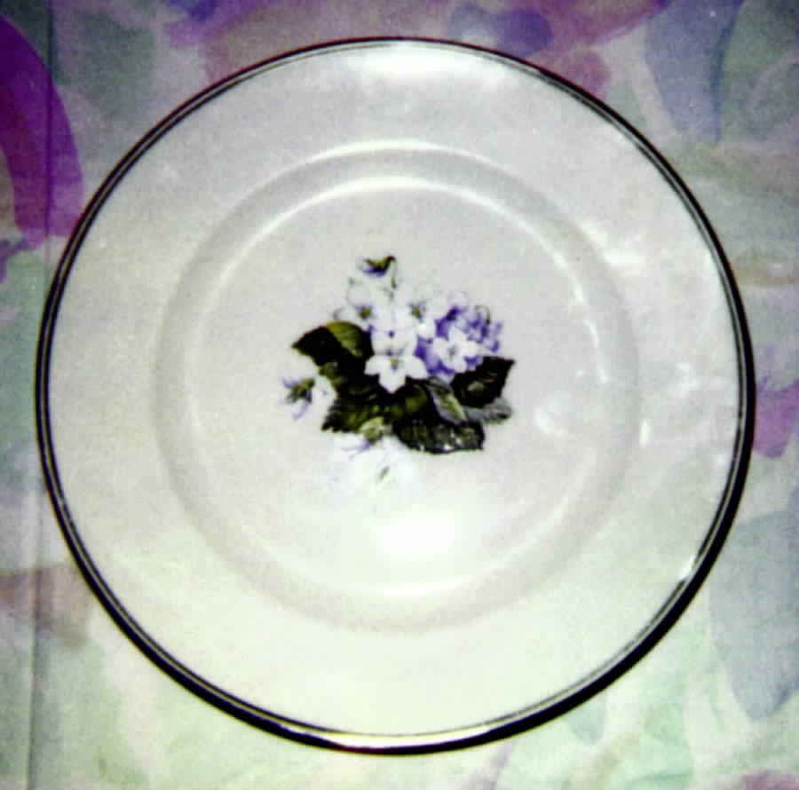 HC195 Dinner Plate by Heinrich - H&C-1