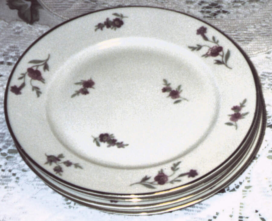 Victoria (Smooth) Dinner Plate by Heinrich - H&C-1