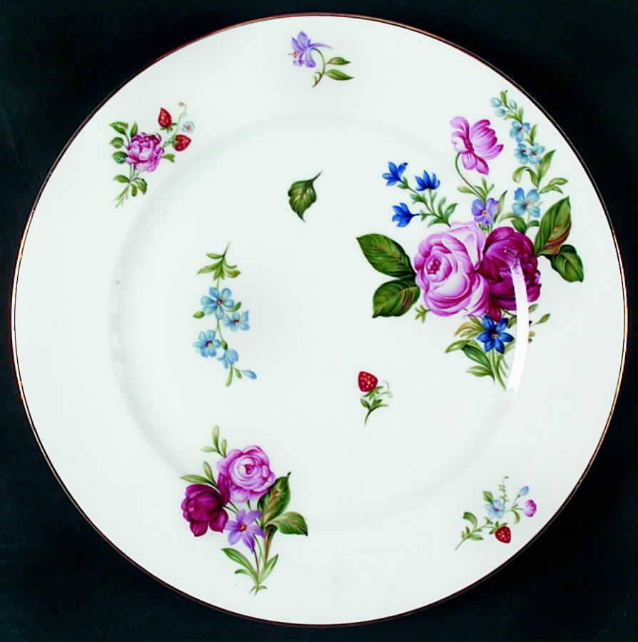 HC205 Dinner Plate by Heinrich - H&C-1
