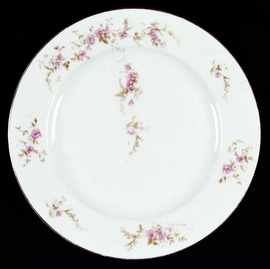 HC24 Dinner Plate by Heinrich - H&C-1