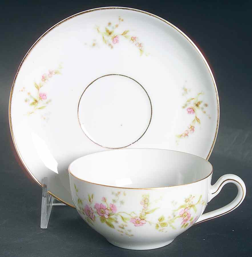 HC24 Flat Cup & Saucer Set by Heinrich - H&C-1