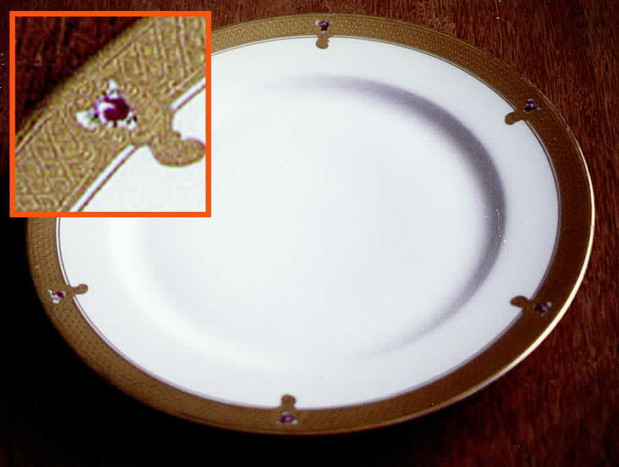 HC271 Dinner Plate by Heinrich - H&C-1