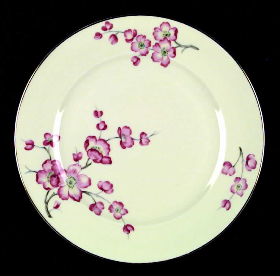 HC29 (IVORY BACKGROUND) Dinner Plate by Heinrich - H&C-1