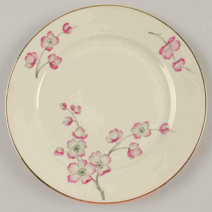HC29 (IVORY BACKGROUND) Salad Plate by Heinrich - H&C-1