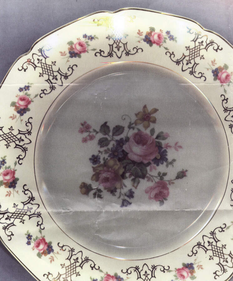 HC308 Dinner Plate by Heinrich - H&C-1