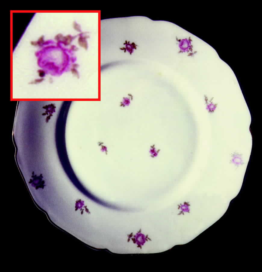 HC315 Dinner Plate by Heinrich - H&C-1