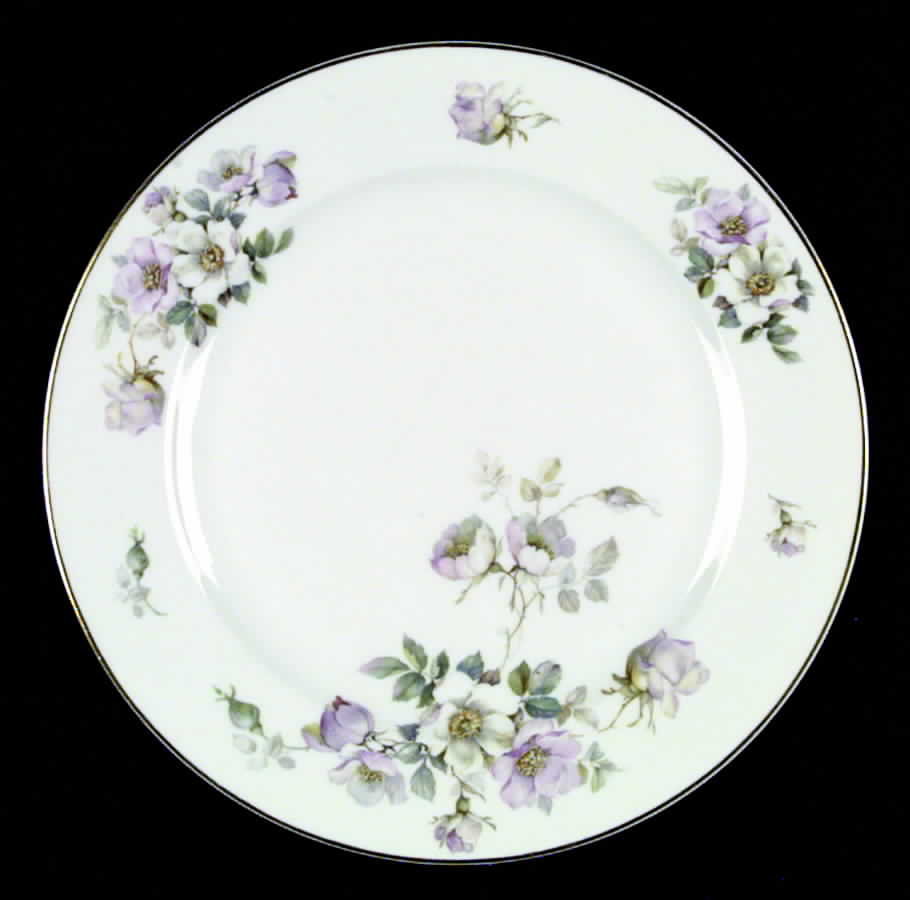 HC349 Dinner Plate by Heinrich - H&C-1