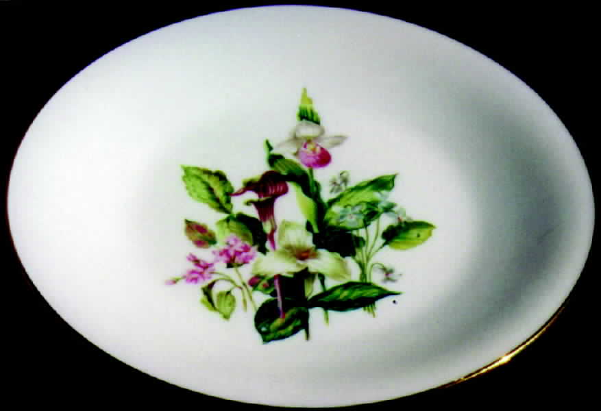 16637 Coupe Soup Bowl by Heinrich - H&C-1