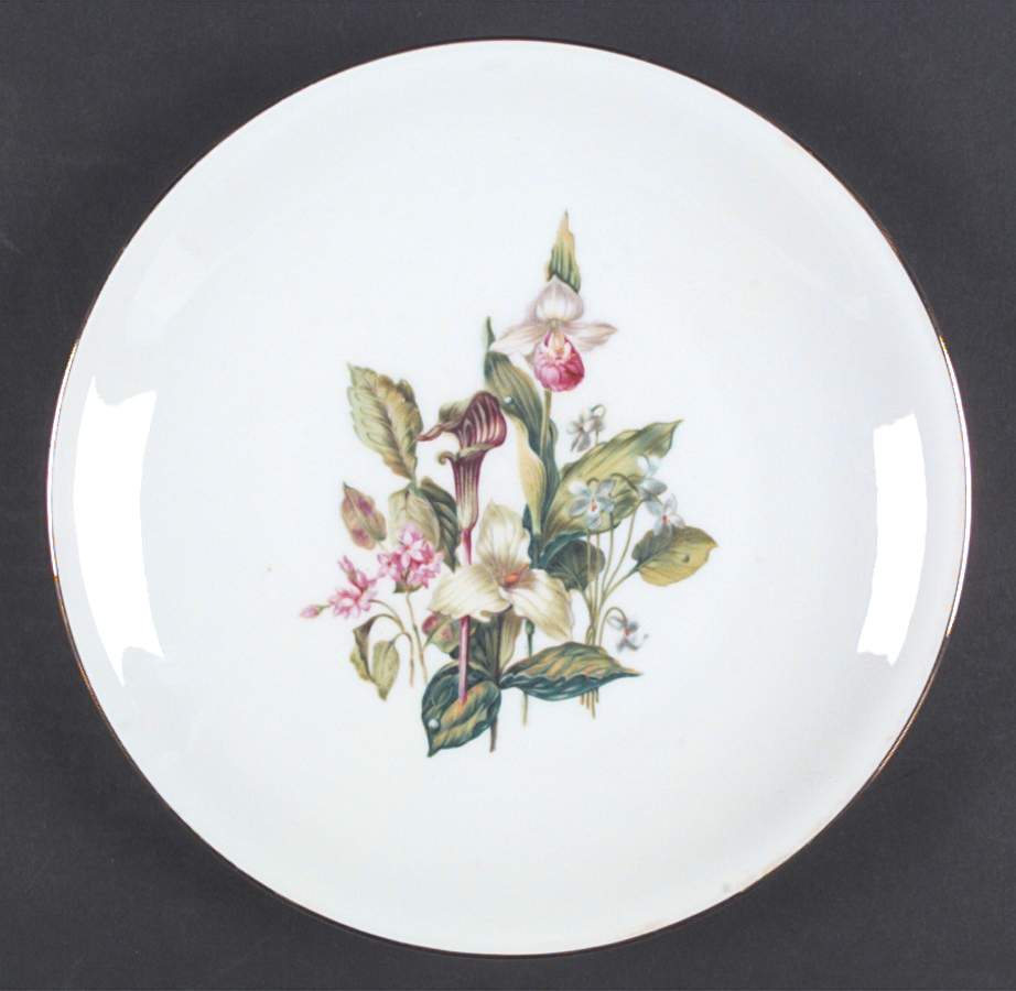 16637 Dinner Plate by Heinrich - H&C-1