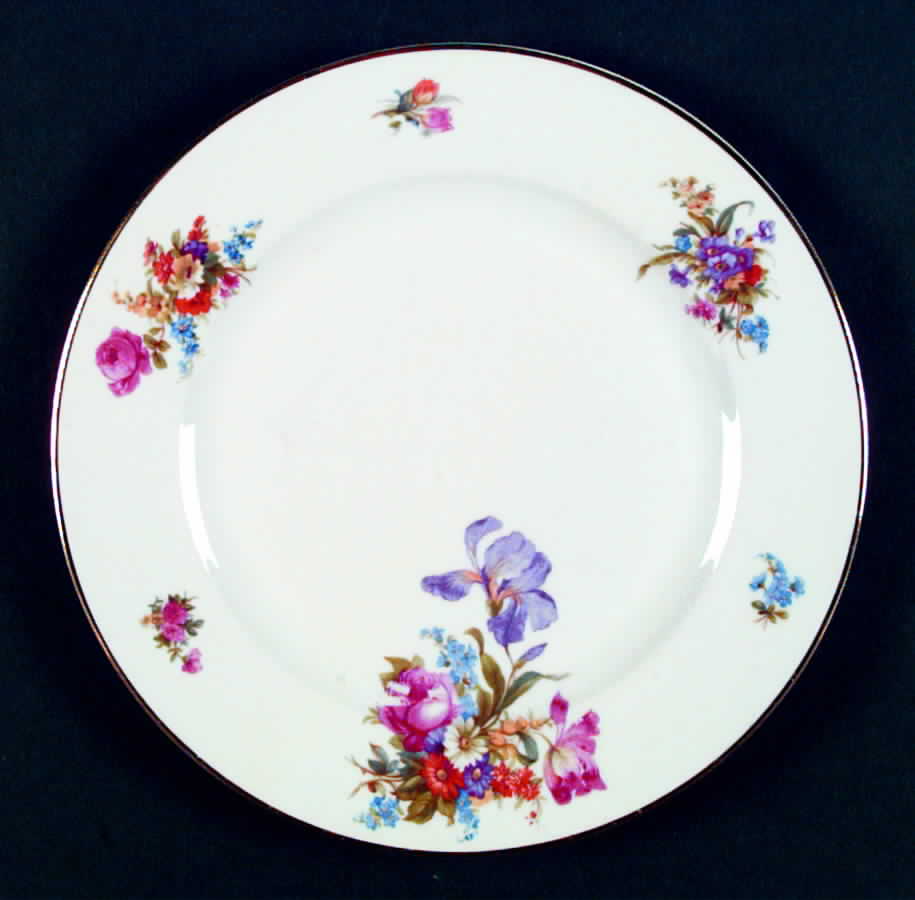 HC400 Dinner Plate by Heinrich - H&C-1