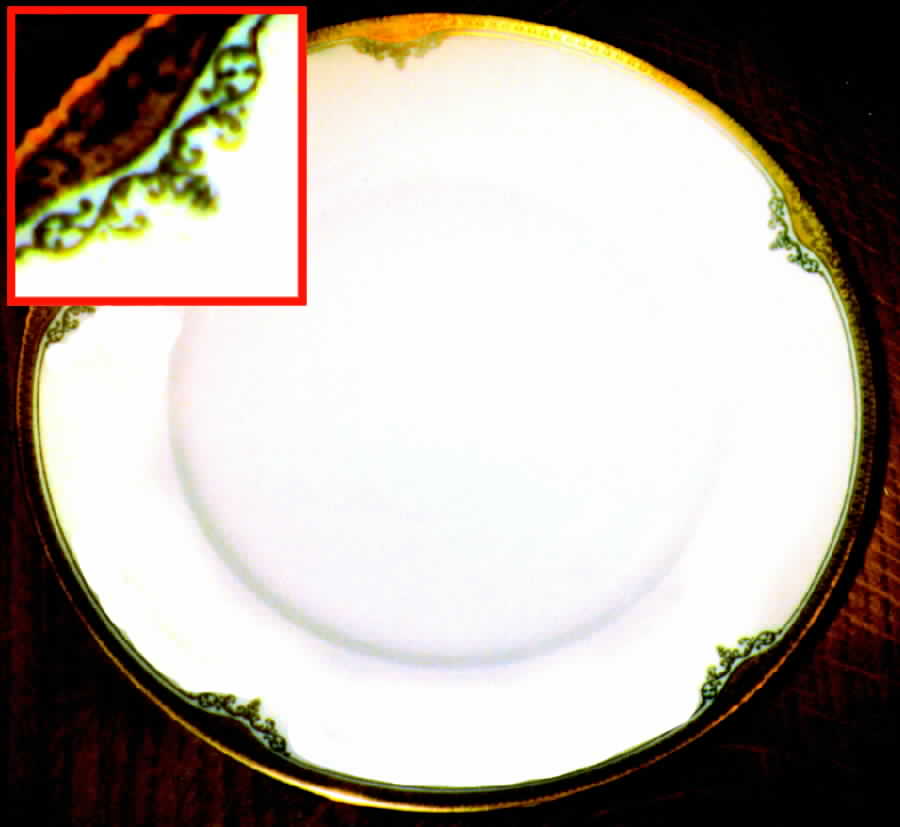 HC427 Dinner Plate by Heinrich - H&C-1