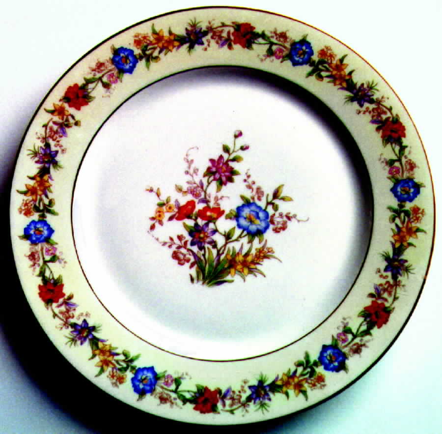 HC484 Dinner Plate by Heinrich - H&C-1