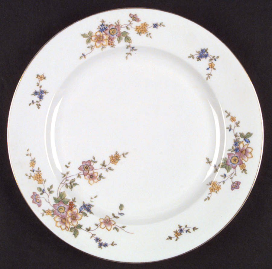 9847 Dinner Plate by Heinrich - H&C-1