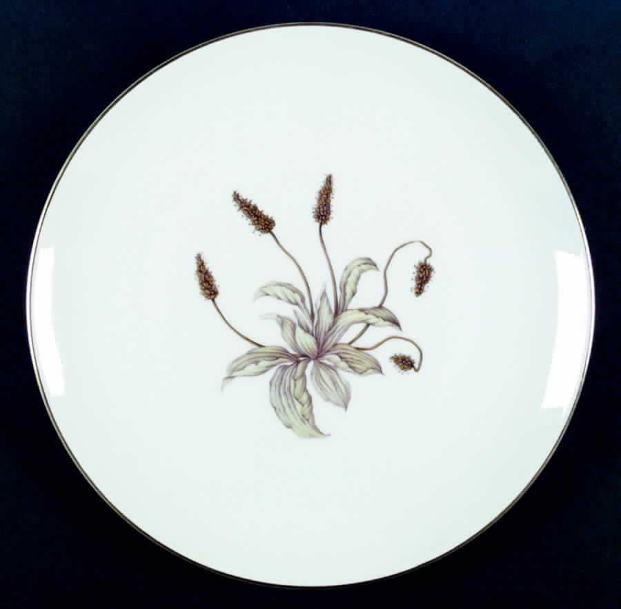 HC85 Dinner Plate by Heinrich - H&C-1