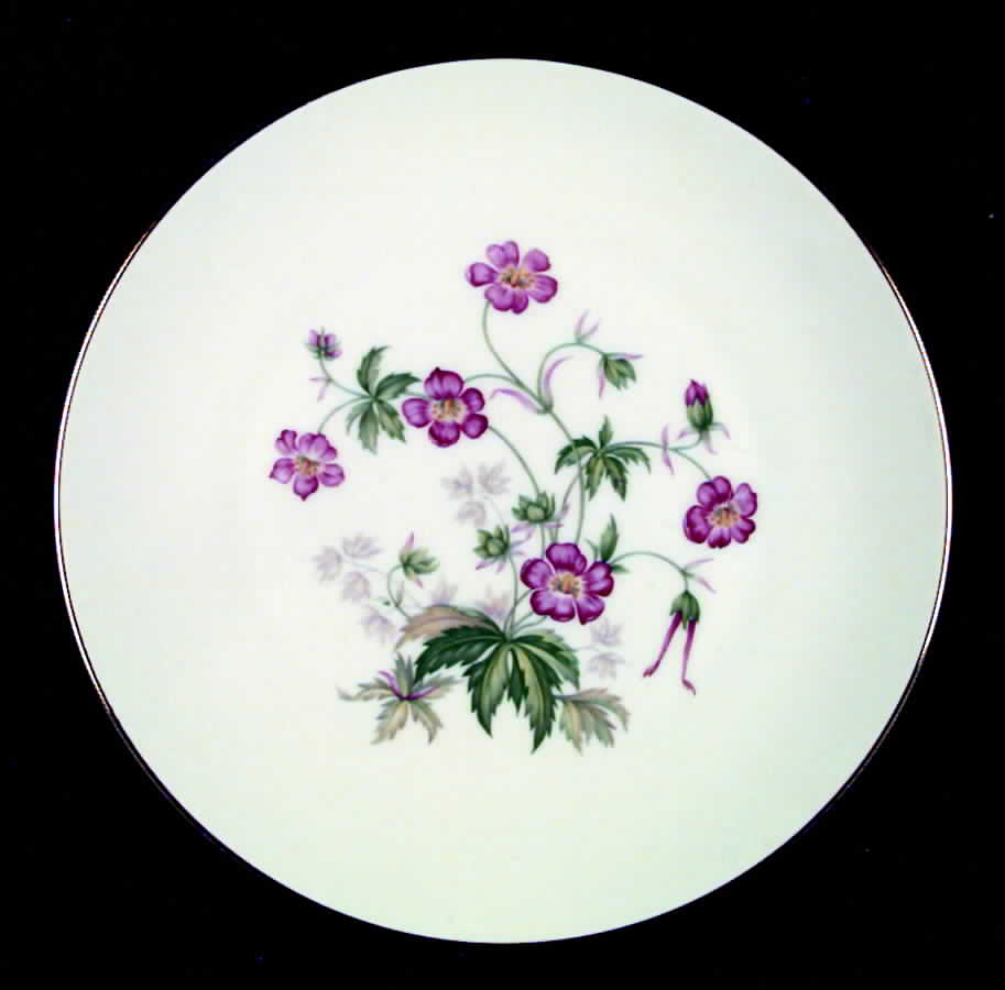 Montrose Dinner Plate by Heinrich - H&C-1